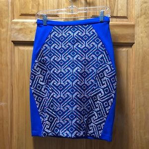 ANTHROPOLOGIE (Eva Franco) skirt